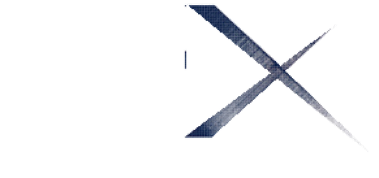 ДОКТОР ИКС